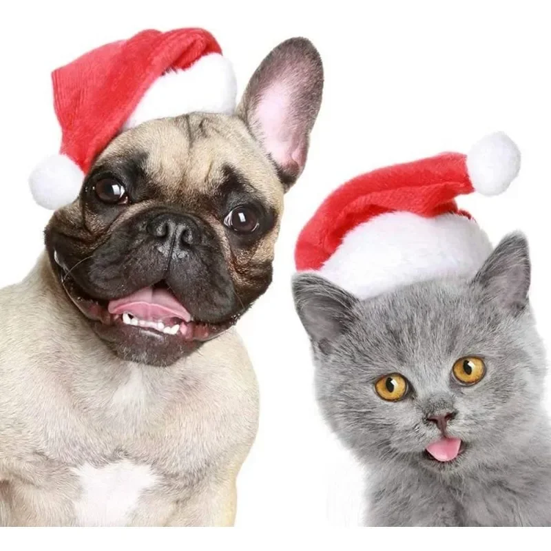 Christmas Pet Santa Hat Red Pl - Santa Hat Plush review and price